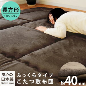 y16ő1~OFFN[|zݖ40mm ӂ ~zc ` A~V[g 130×190cm tln Z^[O ƂĂ { Y n x[W uE O Ɍ 4