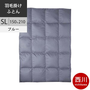 yN[|24OFFz v~A Hъ|zc VO |[hYzCgO[X_E90% Hѕzc SL VO O 150×210cm 1.2kg { NP7051 zFB u[ y2025Wz