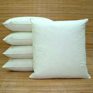 yzcgzzcc5gZbg 唻 55x59cm g H k[hzc Hzc