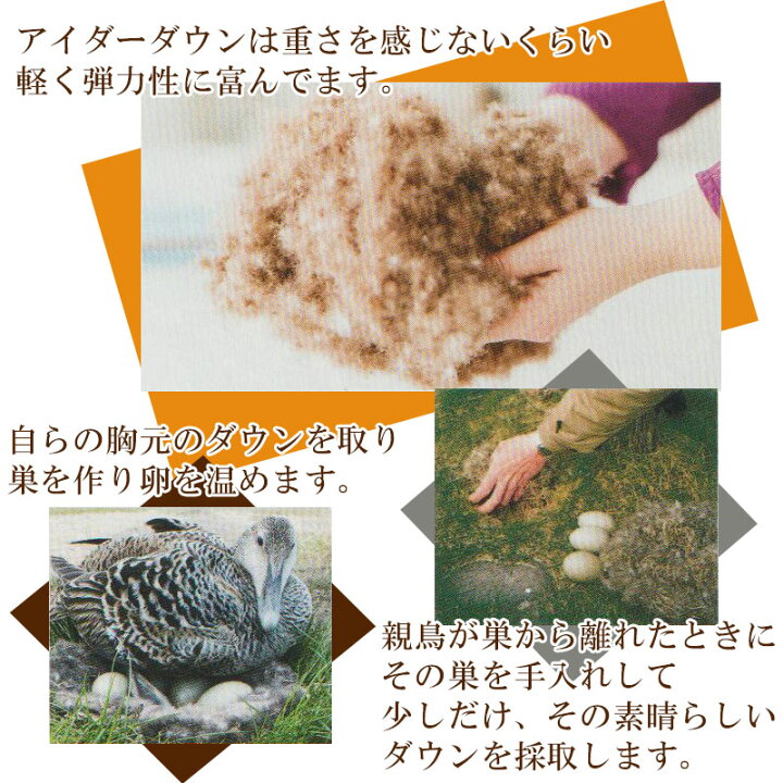 楽天市場】京都西川 アイダーダックダウン95％ アイスランド産 最高級  