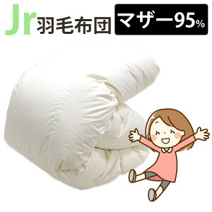 WjAp Hѕzc |[hY}U[O[X95% 0.8kg 1.0kg 140×190cm VOV[g RpNgTCY WjATCY DP440ȏ Z~VO ɂ WjAzc q LbY 