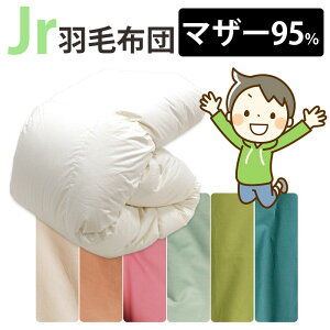 カバー付き!ジュニア用 羽毛布団 ポーランド産マザーグース95% 0.8kg 1.0kg 140×190cm シングルショート コンパクトサイズ ジュニアサイズ DP440以上 セミシングル ムレにくい ジュニア布団 子供