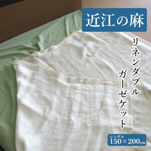 ߍ]̖ l_uK[[Pbg VO l  2dK[[ 150×200cm  t I[V[Y K[[ Pbg ^IPbg LgPbg Vv LgPbg K[[ 炩 