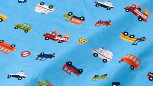 n _uK[[ 100 1mJbgς 112cm ܃p[N i J[h[ j u[ { y z JbgNX Rbg100 Rbg dK[[ 2dK[[ WK[[ K[[ zy [