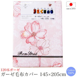 K[[ѕzJo[ i 145×205cm j poem collectionu|GRNVv |s[ P { y ѕzJo[ K[[Jo[ K[[n K[[n uPbgJo[ z