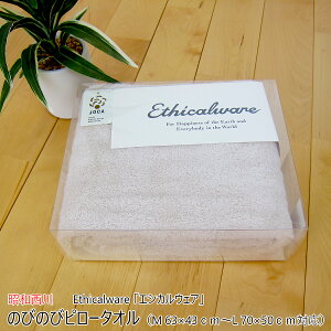 ̂т̂уs[^I i M 63×43cm`L 70×50cmΉ j Ethicalware uGVJEFAv {[^b` AC{[ { i Y j y ^Is[P[X ܂Jo[ Jo[ sP[