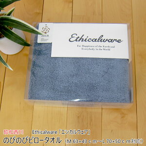 ̂т̂уs[^I i M 63×43cm`L 70×50cmΉ j Ethicalware uGVJEFAv {[^b` u[ { i Y j y ^Is[P[X ܂Jo[ Jo[ sP[X 