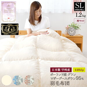 Hѕzc VO { |[hY }U[zCgO[X _E95 1.2kg 440dp v~AS[hx wLg 100 Y bB VOO 150×210cm ~p g |zc |