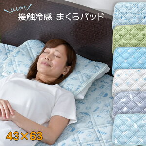 pbh 43×63cm ⊴  낭ܕ ق Lv Ђ  vg ܂pbh Iׂ6