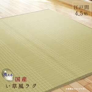 O ]ˊ 4.5  Y 261×261cm  a Ԃ rj[pCv  a 􂦂 [J[i