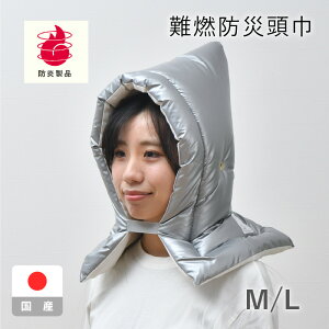 A~H hГ 28×42cm 30×46cm { {hF Iׂ2TCY hЃObY  w V  zc