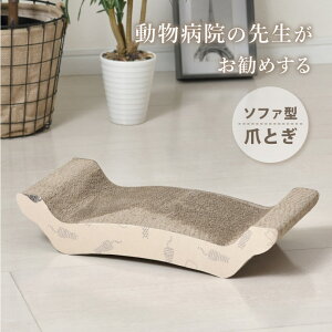 ܂Ƃ L \t@^ 1 2 a@̐搶 _{[  킢 i{[  KK ˂ ߂Ƃ ybgpi 2Zbg Pi