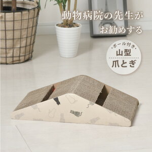 ܂Ƃ L R^ 1 2 a@̐搶 _{[  킢 i{[  KK ˂ ߂Ƃ ybgpi 2Zbg Pi