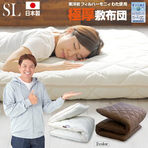 ~zc VO Ɍ { ܑw Ŗȓ z  R hL h_j 5w\ tBn[j[ Y ~zc ӂƂ 