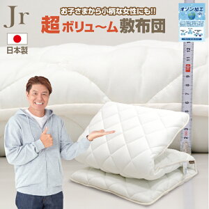 Ɍ ~zc WjA 85×185cm {[ ~zc Ŗȓ ty ~zc I[V[Y zc n Vv I]H }bgXsv