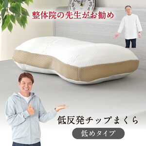 ̎t߂ `bv 32×54cm  ᔽE^`bv܂ ̈U Q QԂ   ܂ 搶ďC J[u` Jo[􂦂 蕨