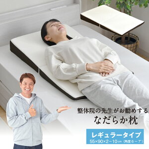  ̉@̐搶߂ Ȃ炩 M[^Cv 55×90cm  X Q 2܂ XΖ  ܂肽    EEwx閍