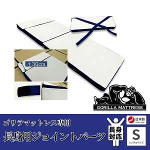 S}bgX gpWCgp[c VOTCY gΉ