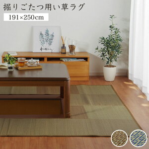 x育pO x @育 x x  O ~ s 蔲 t }WbNe[v A  sDz  sDz 191×250cmi:90×120cmj S3F y[J[iz