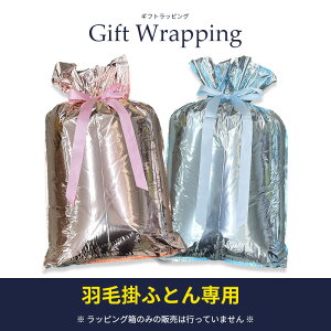 MtgbsO iHѕzcpj rj[obO {t sN u[ v[g  bsOpi Mtg  wrapping a o[Xf[  ̓ ̓ hV̓ NX