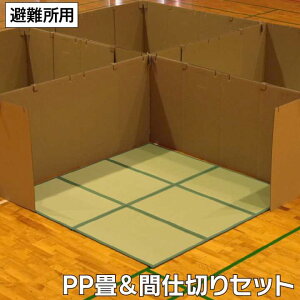 hЊԎd؂Zbg hЃ}bg ȈՃ}bg }bgX h  u y RpNg [  ȒP ɂ 200×200cm y[J[iz