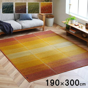 O ѐ Rۍ KOBA-GUARD  RۖhL ~ E^ sDz   Of[V 190×300cm y[J[iz