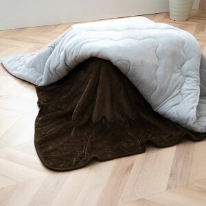 zcp |ѕz tl ` 200×280cm y[J[iz