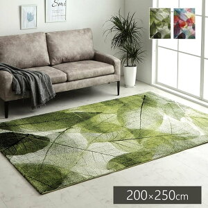 gR EBgDJ[ybg O O~ ` [t }` 200×250cm y[J[iz