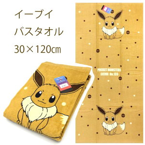|P EIEVUI C[uC n4503 oX^I @60cm×120cm@|PbgX^[ ^I@100@@ъЁy΂ӂƂXz 10