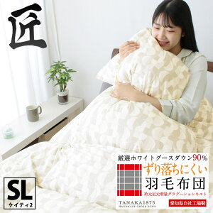 _MAX960~coupon^̉Hѕzc VOOTCY VOTCY 150×210 ԂH WGD90 RۖhL  ݂񂩂 zCgO[X_E90 AG{ }ZbN SEK Of[