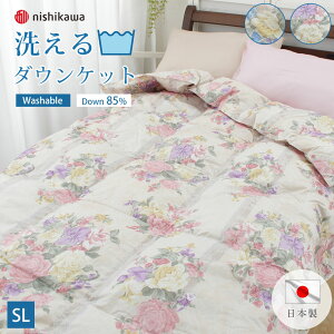  Hѕzc VO Hє|zc _EPbg _E85 Hє|ӂƂ { Y 쐻 􂦂 EHbVu ې @OK nishikaway1342-54416z