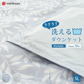 西川 ダウンケット 羽毛肌掛ふとん 夏用 羽毛布団 ラクラク 洗える ダウン70％ 肌掛け布団 西川 シングルロング SL 150×210cm 来客用 羽毛布団 布団 寝具 ウォッシャブル ベッド 羽毛 掛け布団 シングル 肌掛け 羽毛掛け布団 洗濯機 丸洗い