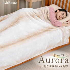 西川 毛布 オーロラ あったか 2枚合わせ毛布 S シングル 140×200cm オーロラ柄 ドット柄 可愛い マイヤー毛布 西川製 洗濯機OK SP4274TN SP5251TN 【FQ04045228】