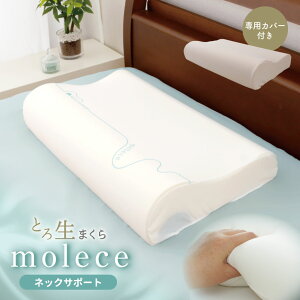 _P10{&SSN[|^Ƃ됶܂ molece `F E^  pJo[t tbg^Cv 40×60cm lbNT|[g^Cv 35×55cm  zt ᔽ ӂ 炩 ܂ k 