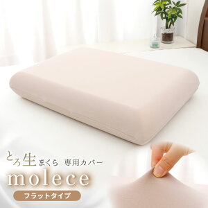 _P10{&SSN[|^pJo[ Ƃ됶܂ molece `F Jo[ tbg^Cv 40×60cm lbNT|[g^Cv 35×55cm  zt Lт tBbg