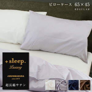 _MAX15%coupon^{sleep. Luxury  Te n Jo[ 65×45cm (63×43cmΉTCY) vXX[v OWA[ s[P[X REGULAR  100% { Jo[ ܂Jo[ uE O[ 