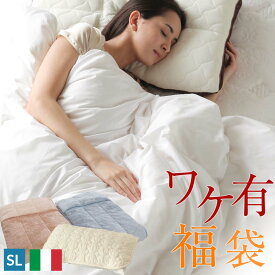 【大還元福袋】第12弾★22周年記念で中身がほぼ見えるようリニューアル★ 羽毛布団 シングルサイズ 4点セット イタリア ダウン グース モリーナ追加 昭和西川 選べる福袋 暖か 季節の変わり目 ニットケット ワケ有り ハッピーバッグ【完全お任せ】