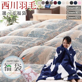 ★土日P5★【福袋】西川 暖か羽毛福袋 羽毛布団 シングル 3点セット フランス産ダウン93％ イギリス産ダウン90％ ホワイトダウン85％ あったか 選べる 毛布付き ムーミン nocnoc ハッピーバッグ 日本製 西川製 選べる福袋 掛カバー付 2025 2026 年内発送