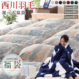 ＼ふとんの日coupon／【福袋】西川 暖か羽毛福袋 羽毛布団 シングル 3点セット 再生 グースダウン90％ ホワイトダウン93％ ダウン85％ あったか 選べる 毛布付き ムーミン nocnoc ハッピーバッグ 日本製 西川製 選べる福袋 掛カバー付 2026