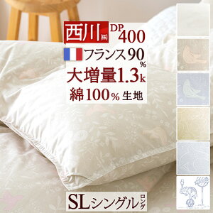 SiP5ő10OFFN[|[1516`8h] Hѕzc  VO 呝1.3kg VOTCY tXYzCg_E90% DP400 100%n HтӂƂ { ~p  g |z