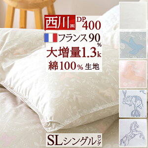 SiP5ő10OFFN[|[2916`8H] Hѕzc  VO y|zcJo[tz 1.3kg tXYzCg_E90% DP400 HтӂƂ 100%n { ~p  g