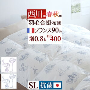 ~ ő10OFFN[| Hѕzc  | VO 0.8kg tXYzCg_E90% VOTCY HтӂƂ Hэ|ӂƂ DP400 Rېn { _E t