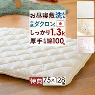 夏早得★最大2万円OFFクーポン [プレゼント付き] お昼寝布団 敷き布団 敷布団 お昼寝敷布団 お昼寝マット…