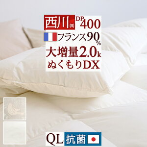 11/1聚11OFFN[| Hѕzc  NC[ NC[TCY w呝2.0kgx R tXY zCg_E90 HтӂƂ DP400 { oCIAbvH Hъ|zc ӂƂ ԂƂ 