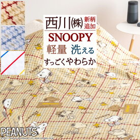 マラソン★最大2万円OFFクーポン＆P5 スヌーピー 毛布 シングル 西川 春 秋 冬 軽量 柔らか ニューマイヤー毛布 snoopy SNOOPY キャラクター シングルサイズ 洗える 軽い 車用 防寒 お昼寝 子供 子ども