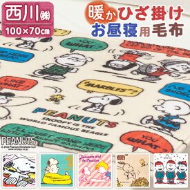 7/18限定★11％OFFクーポン スヌーピー ひざ掛け ブランケット 夏用 オールシーズン かわいい 薄手 snoopy 西川 膝掛け ひざかけ毛布 ひざ掛け毛布 ひざかけ キャラクター お昼寝 保育園 幼稚園 防寒 デスクワーク