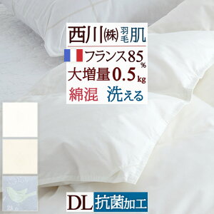 SiP5ő10OFFN[|[3016`8H] _EPbg  _u Hє|zc  􂦂 0.5kg _uTCY HтӂƂ tXYzCg_E85 |zc Hѕzc ėp 