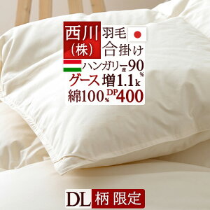 ~ő10OFFN[|  Hэ|zc _u O[X Hѕzc _uTCY HтӂƂ Hэ|ӂƂ | DP400w1.1kgxnK[YO[X_E90% 100%n {