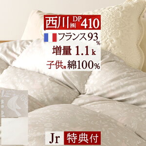 SiP5ő10OFFN[|[2916`8H] y|zcJo[Ttz Hѕzc  WjA qǂ qp TCY 1.1kg HтӂƂ tXY_E93% DP410 100%