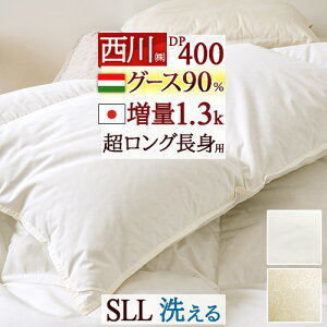 SiP5N[|H[159`15H] Hѕzc  VO gp OTCY O[X y|zcJo[TtznK[Y HтӂƂ O[X_E90% g1.3kg DP400 { R 